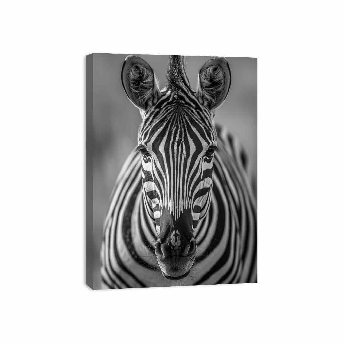 Zebra Stripes black & white Canvas Art Print-3