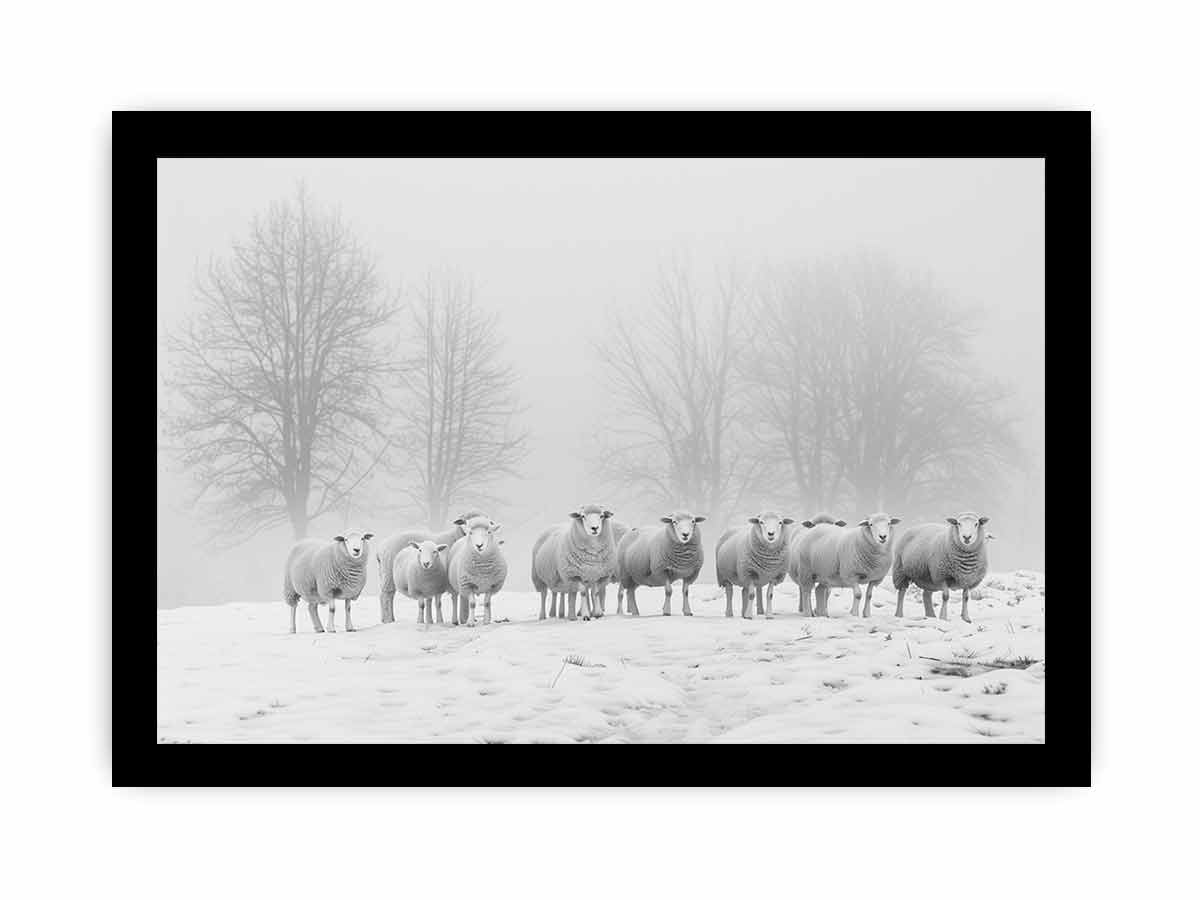 Sheep in the Field Black and white Canvas Art Print-7