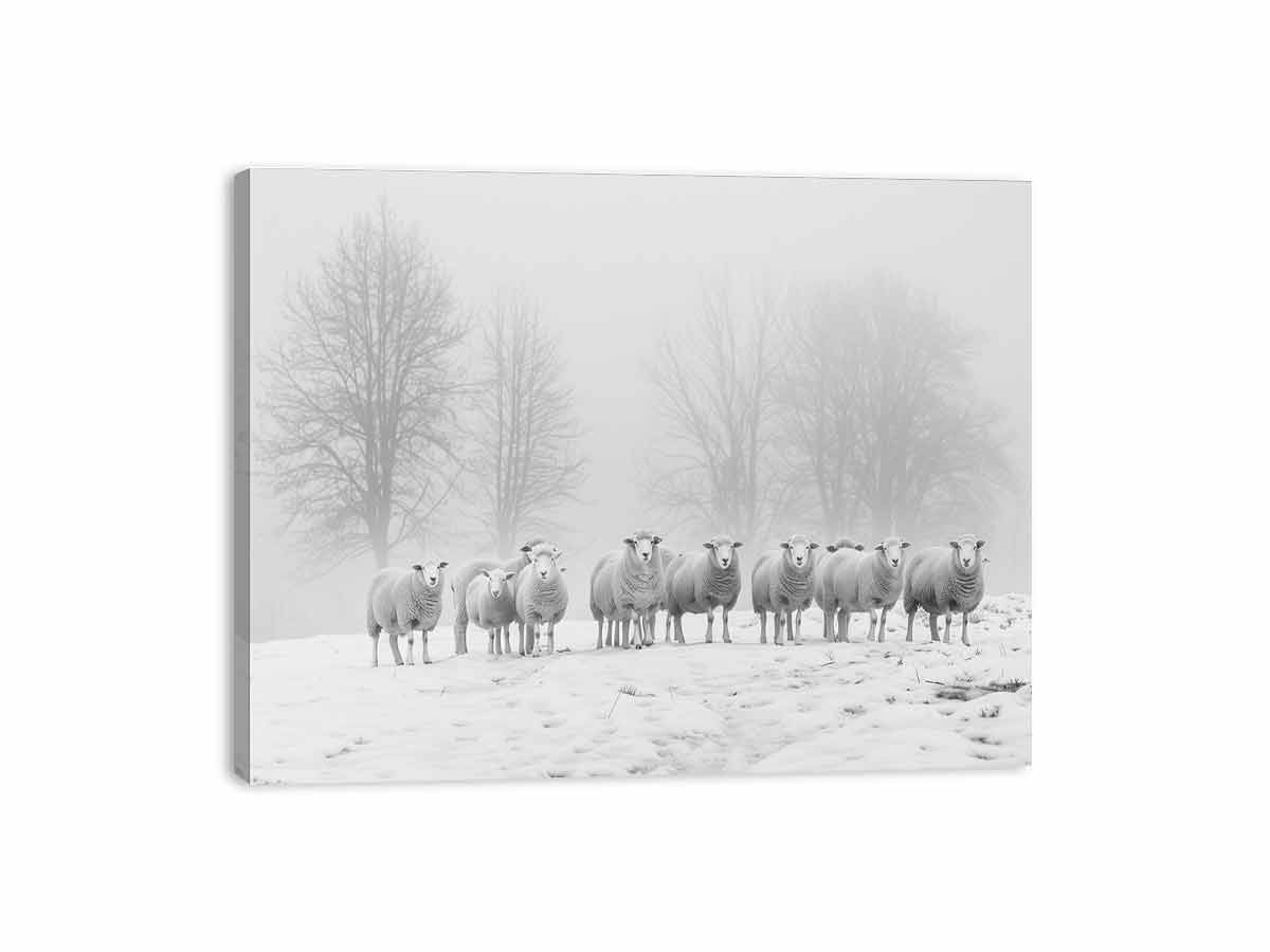 Sheep in the Field Black and white Canvas Art Print-3