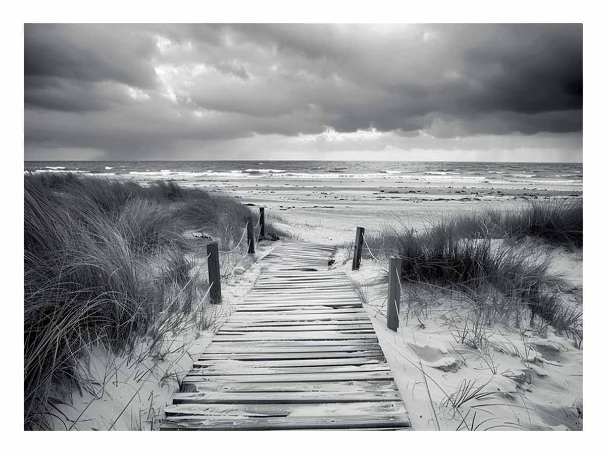 Beach Path pahotogrpahy art  Canvas Art Print-0