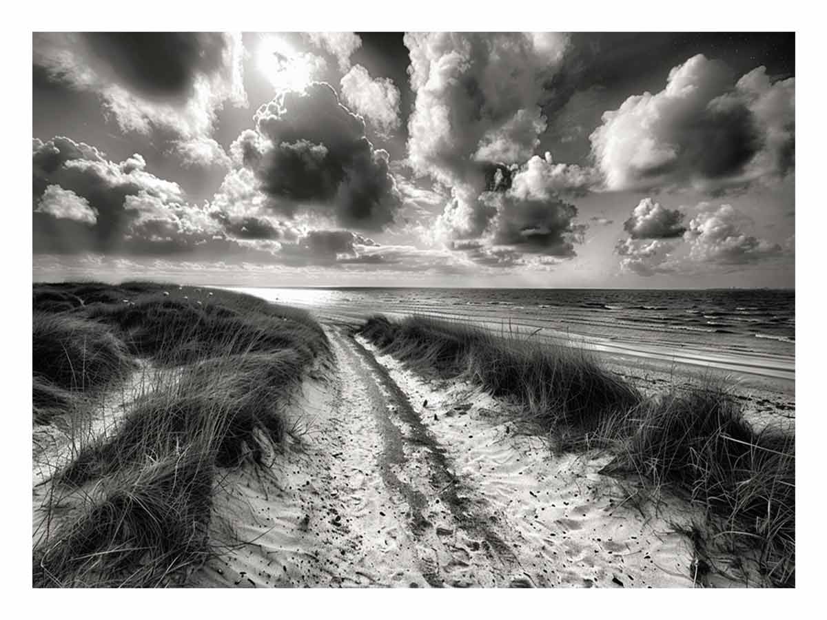 Beach Path  balck & white Canvas Art Print-0