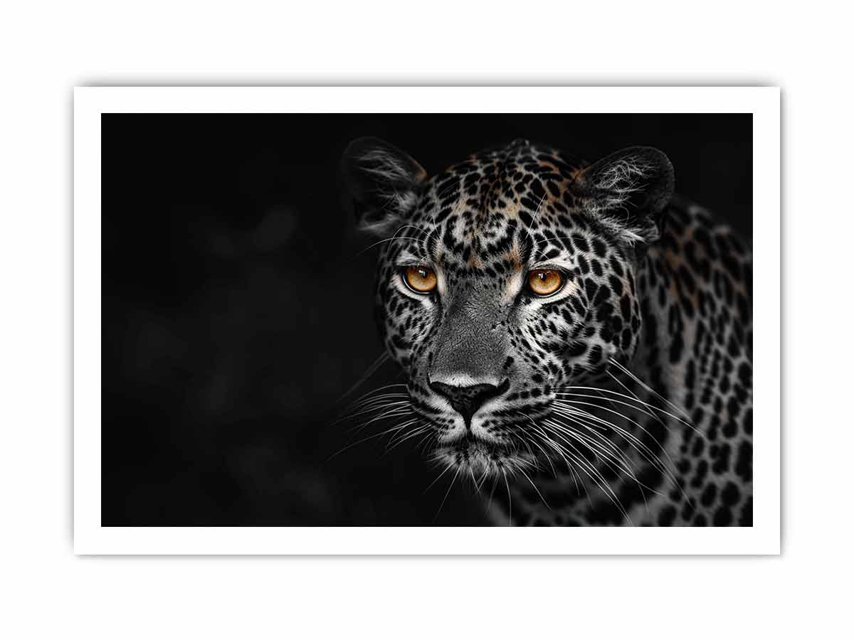Leopard in Dark Canvas Art Print-8