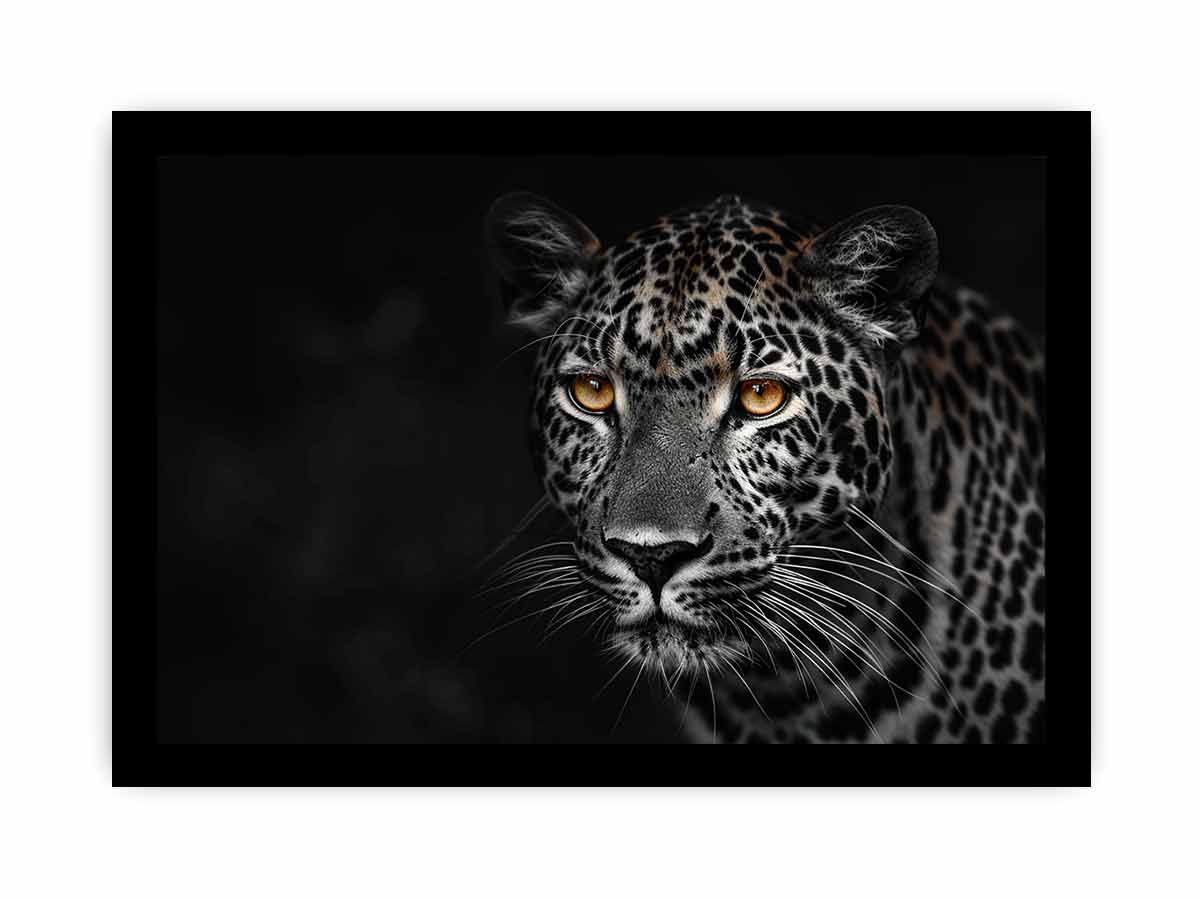 Leopard in Dark Canvas Art Print-7