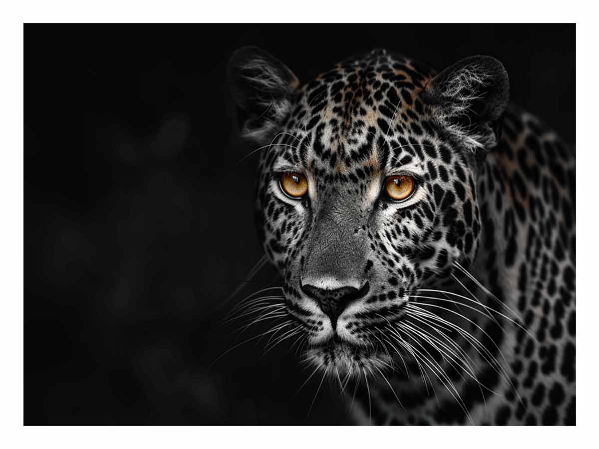 Leopard in Dark Canvas Art Print-0