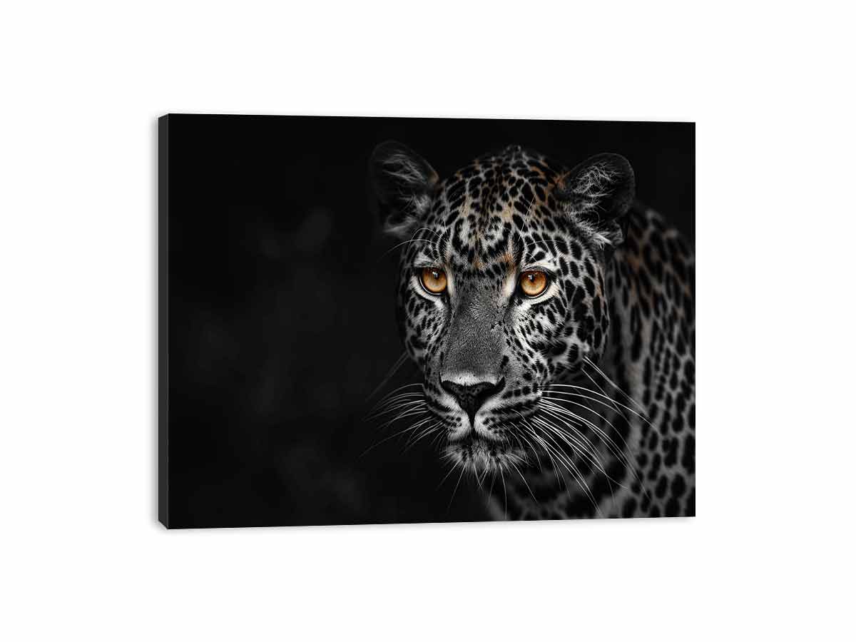 Leopard in Dark Canvas Art Print-3