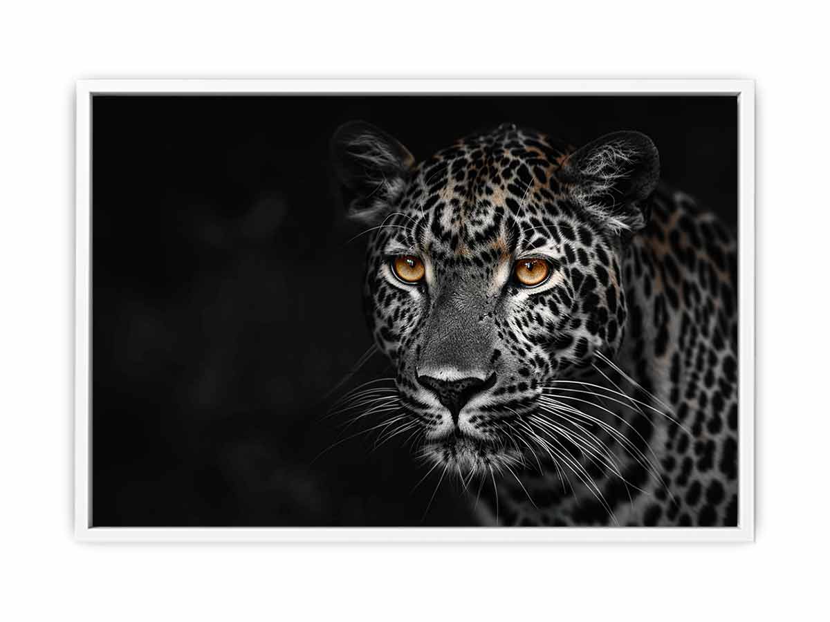 Leopard in Dark Canvas Art Print-5