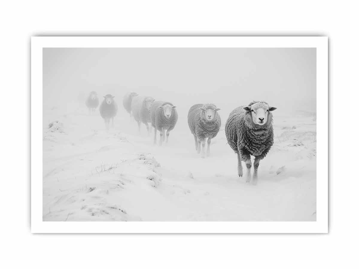 Sheeps in Field   Canvas Art Print-8