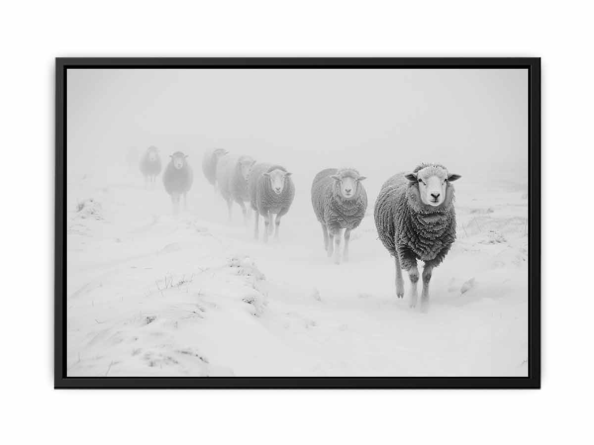 Sheeps in Field   Canvas Art Print-4
