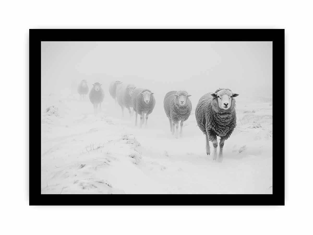 Sheeps in Field   Canvas Art Print-7