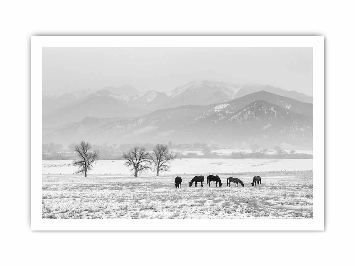 Open Filed Canvas Art Print-8