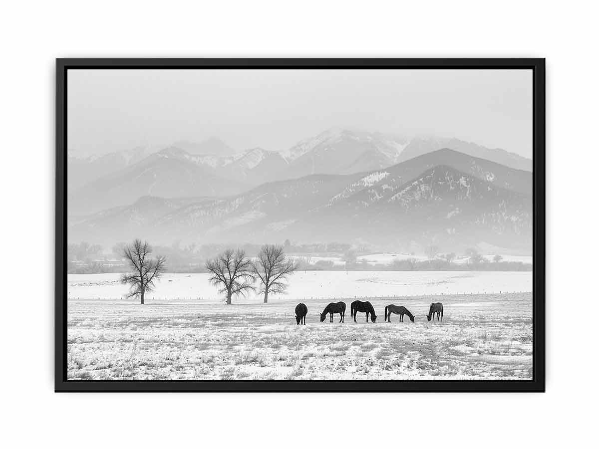 Open Filed Canvas Art Print-4