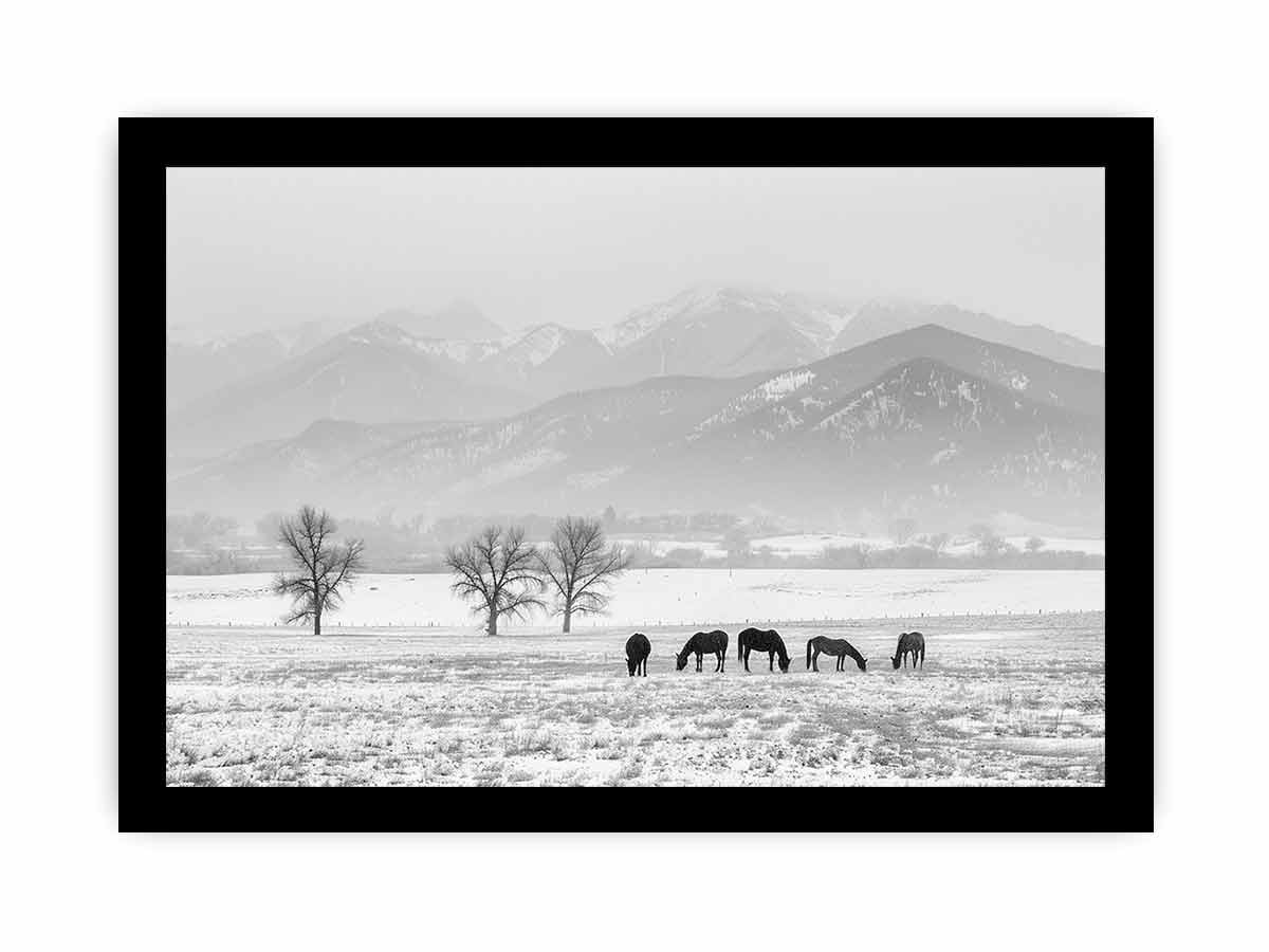 Open Filed Canvas Art Print-7