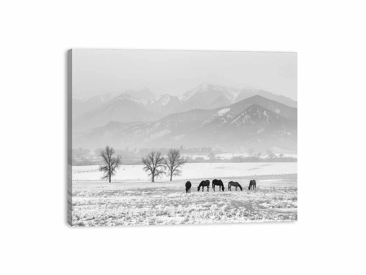 Open Filed Canvas Art Print-3