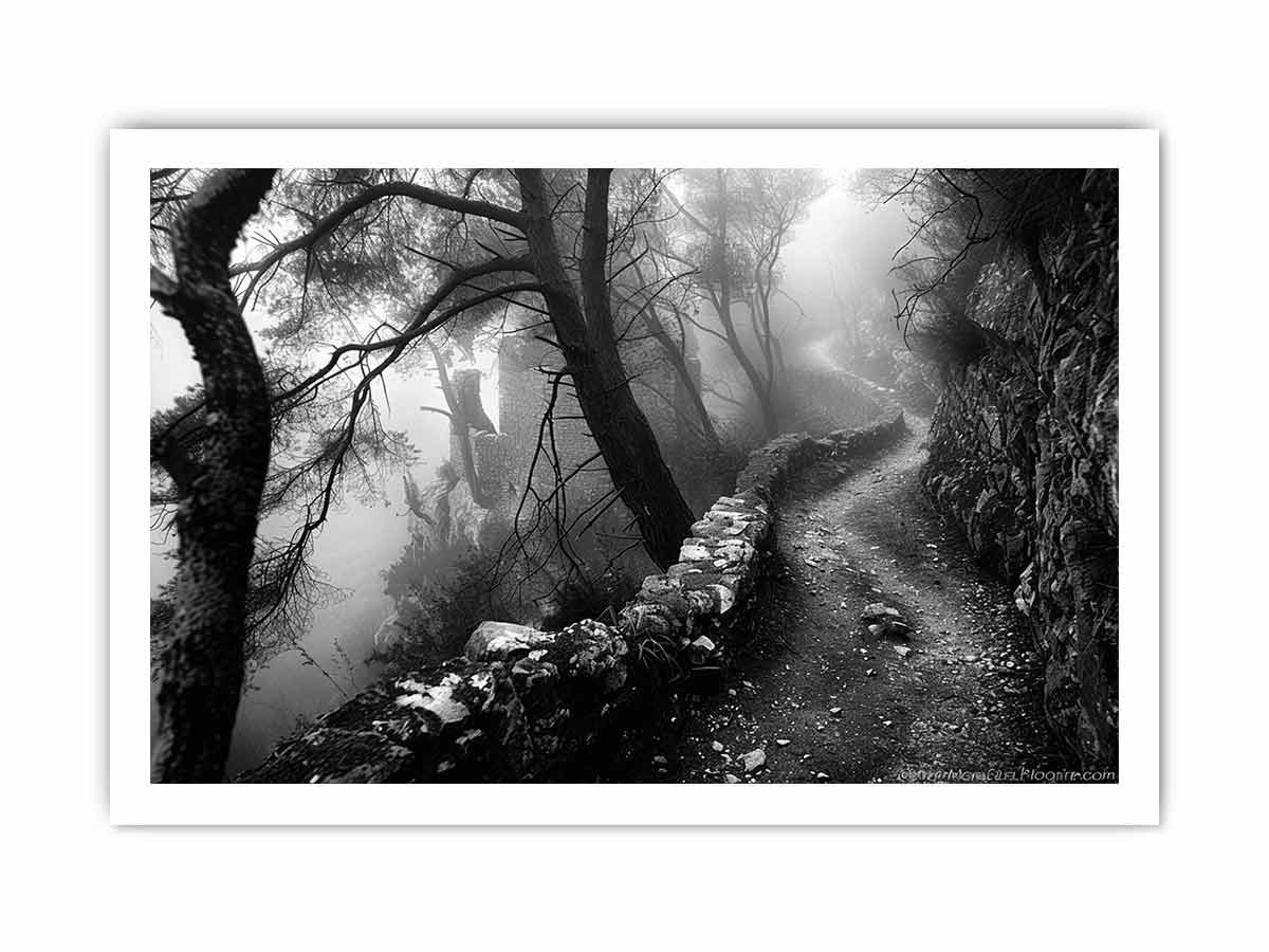 Forest Path Photograpahy art Canvas Art Print-8