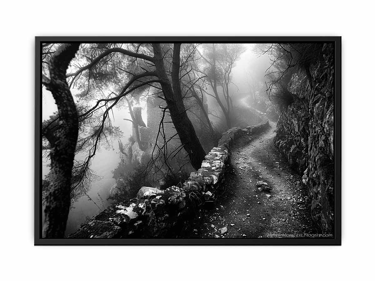 Forest Path Photograpahy art Canvas Art Print-4