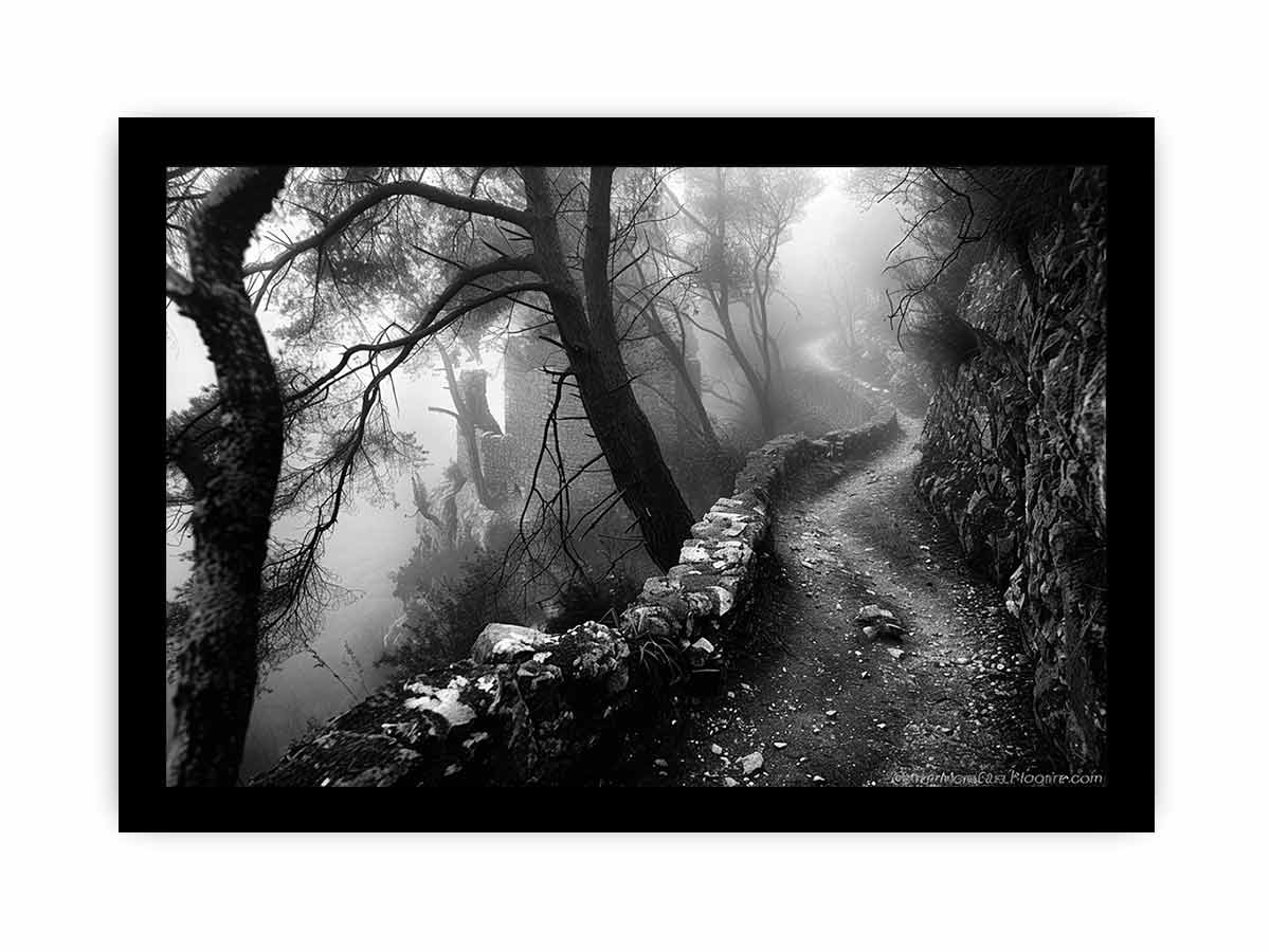 Forest Path Photograpahy art Canvas Art Print-7