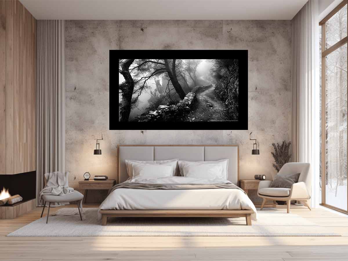 Forest Path Photograpahy art Canvas Art Print-1