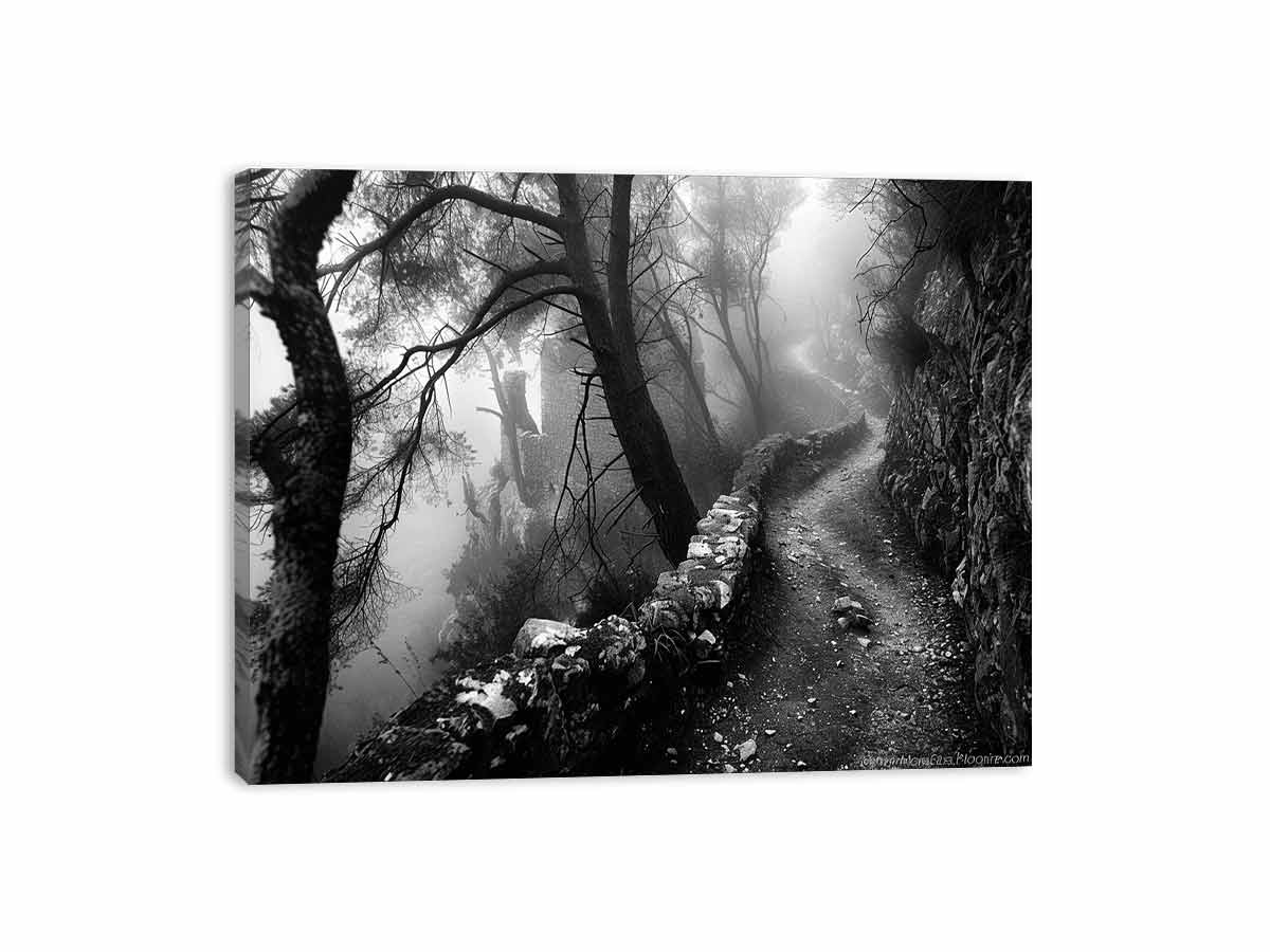 Forest Path Photograpahy art Canvas Art Print-3