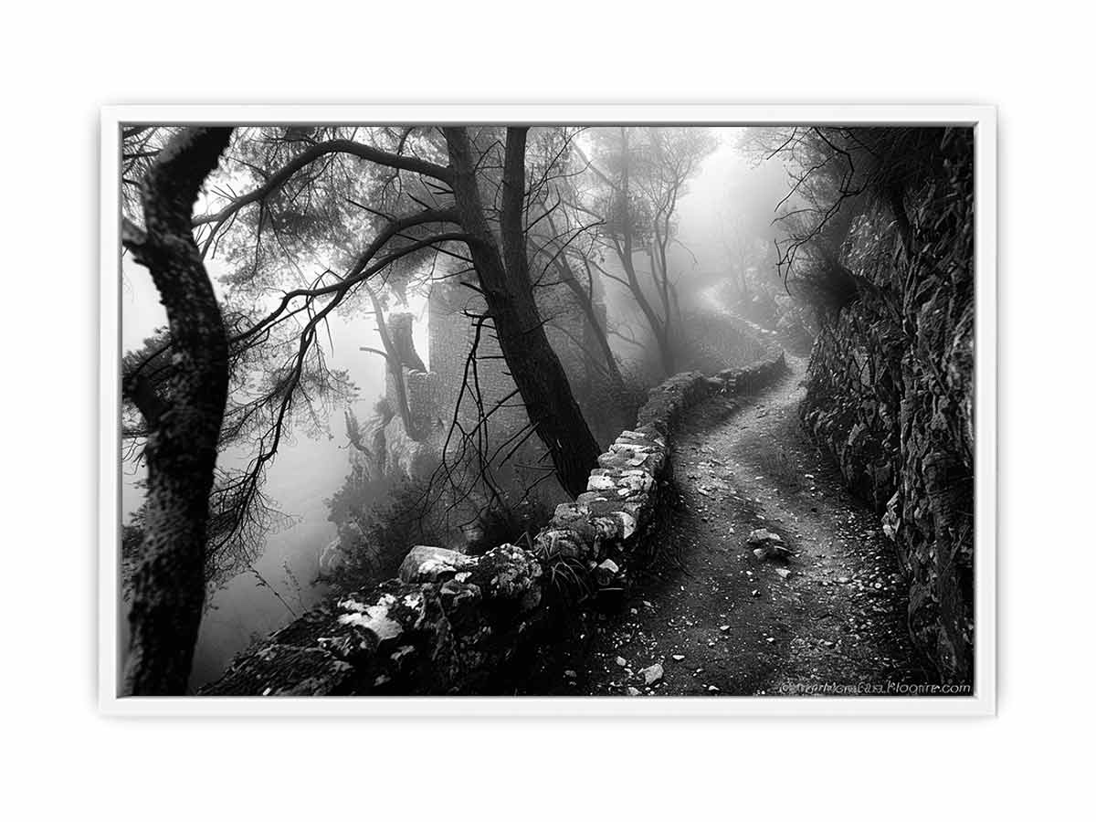 Forest Path Photograpahy art Canvas Art Print-5