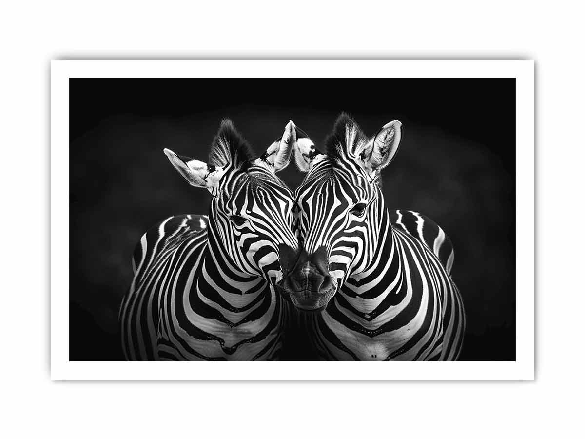Two Zebras  bl;ack & white Photography  Canvas Art Print-8