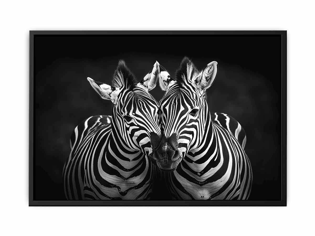Two Zebras  bl;ack & white Photography  Canvas Art Print-4