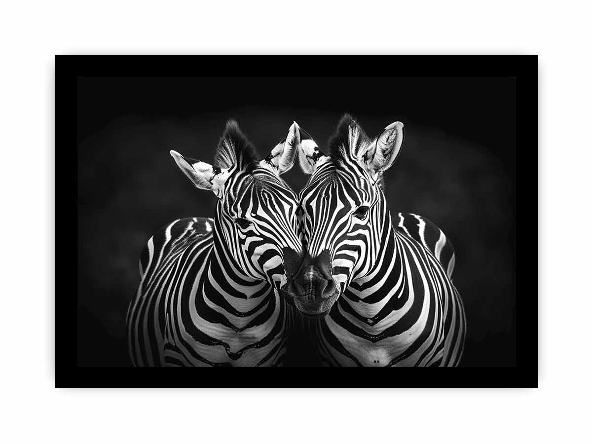 Two Zebras  bl;ack & white Photography  Canvas Art Print-7