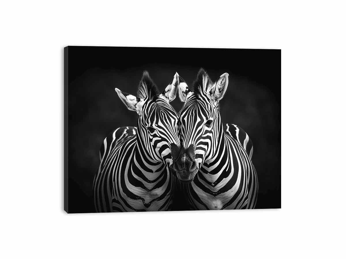 Two Zebras  bl;ack & white Photography  Canvas Art Print-3