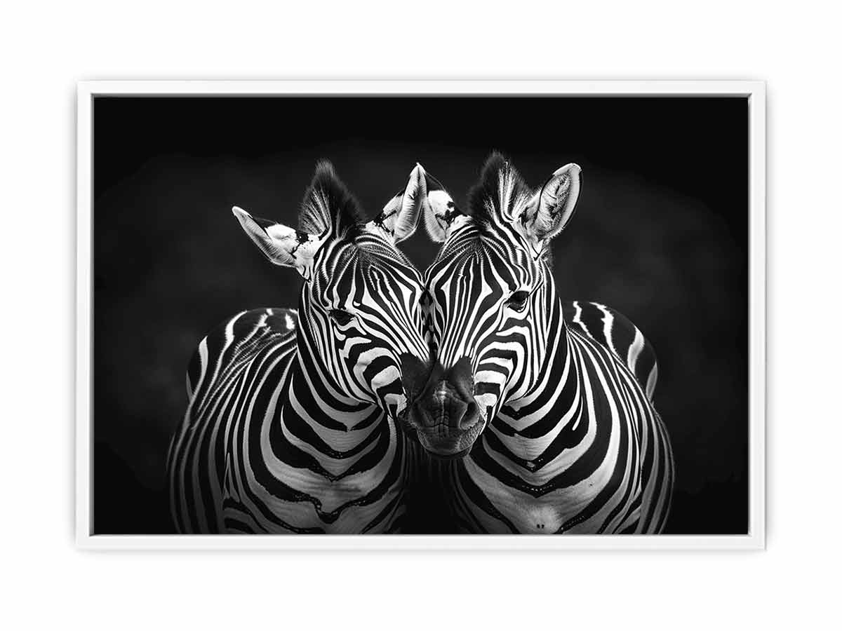 Two Zebras  bl;ack & white Photography  Canvas Art Print-5