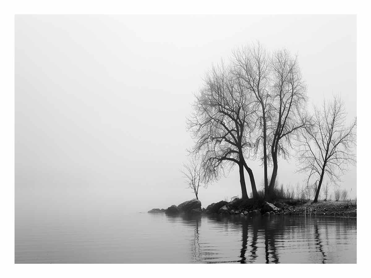 Misty Lake Canvas Art Print-0