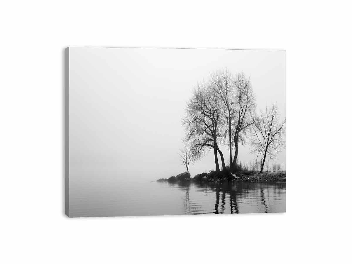 Misty Lake Canvas Art Print-3