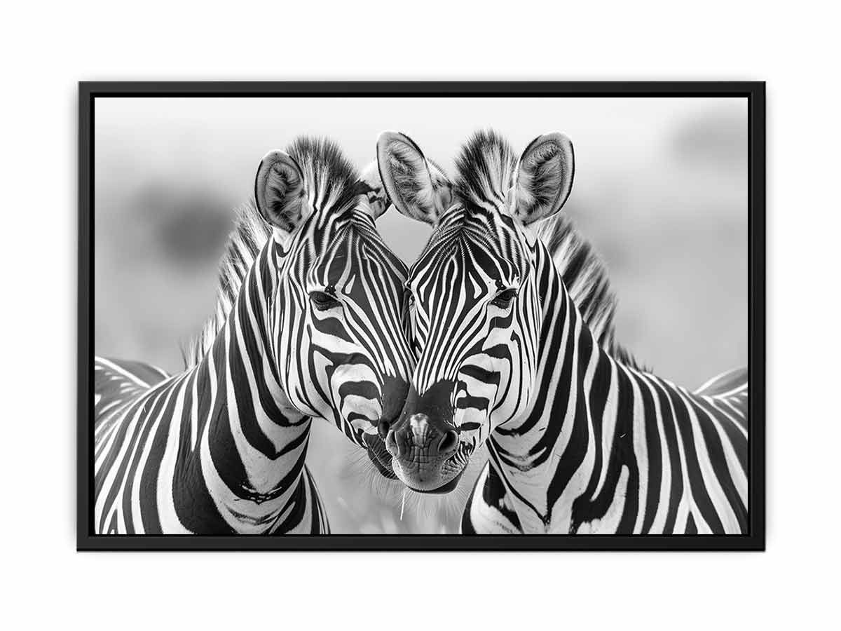 Two Zebras Canvas Art Print-4