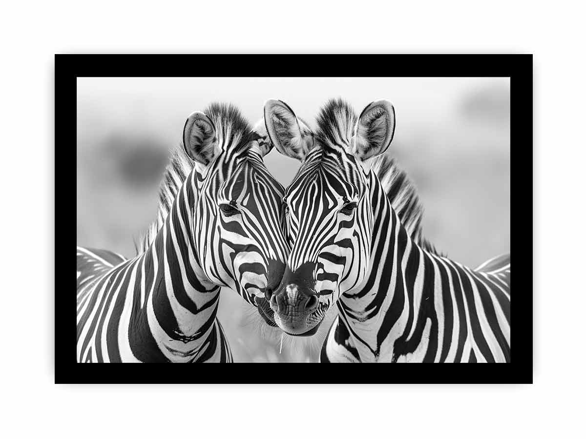Two Zebras Canvas Art Print-7