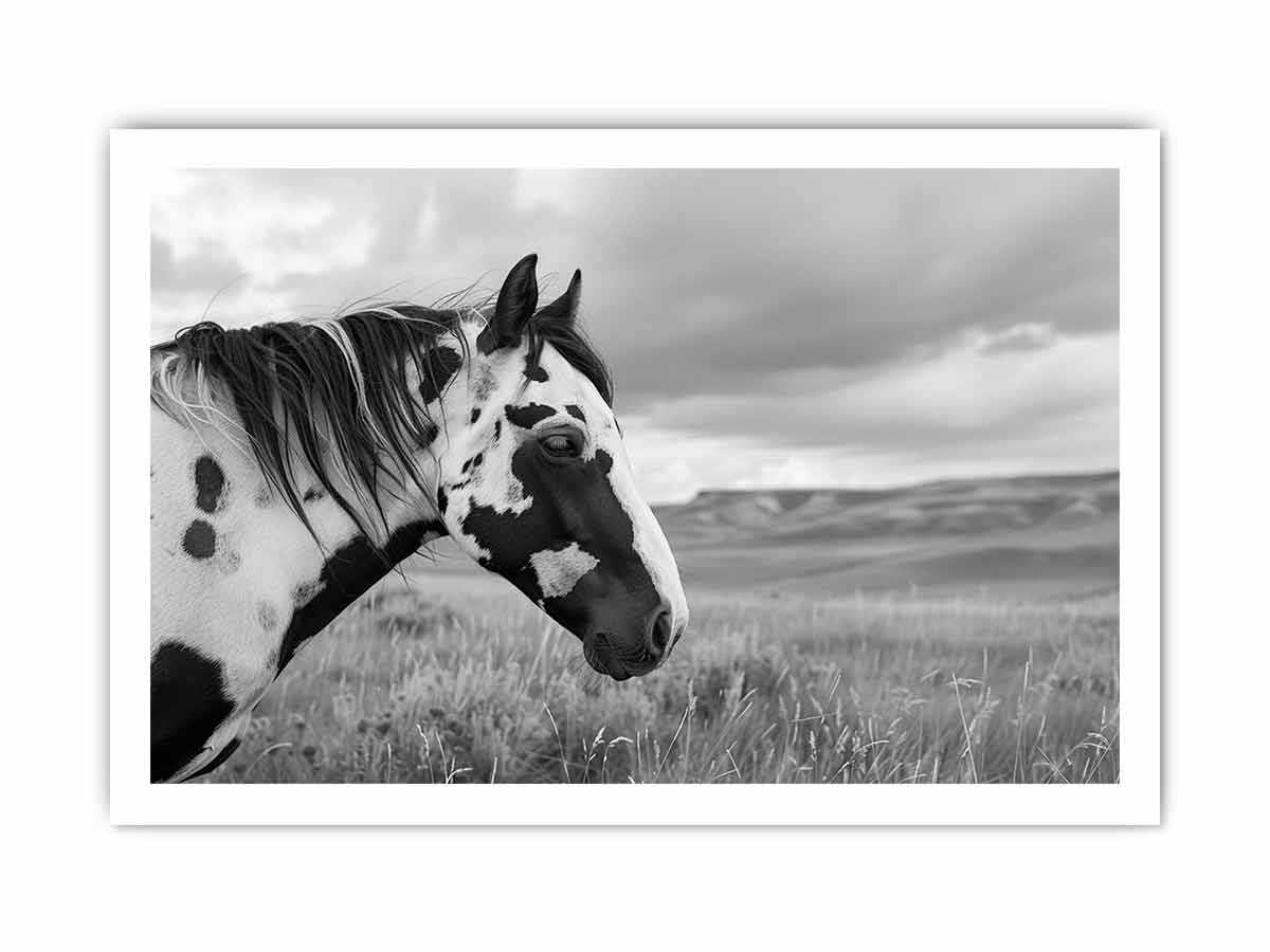 Horse Black & white Photography Canvas Art Print-8
