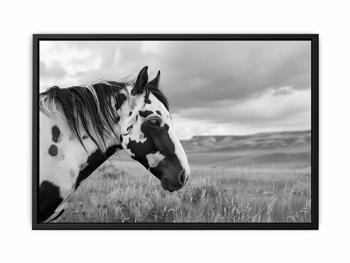 Horse Black & white Photography Canvas Art Print-4