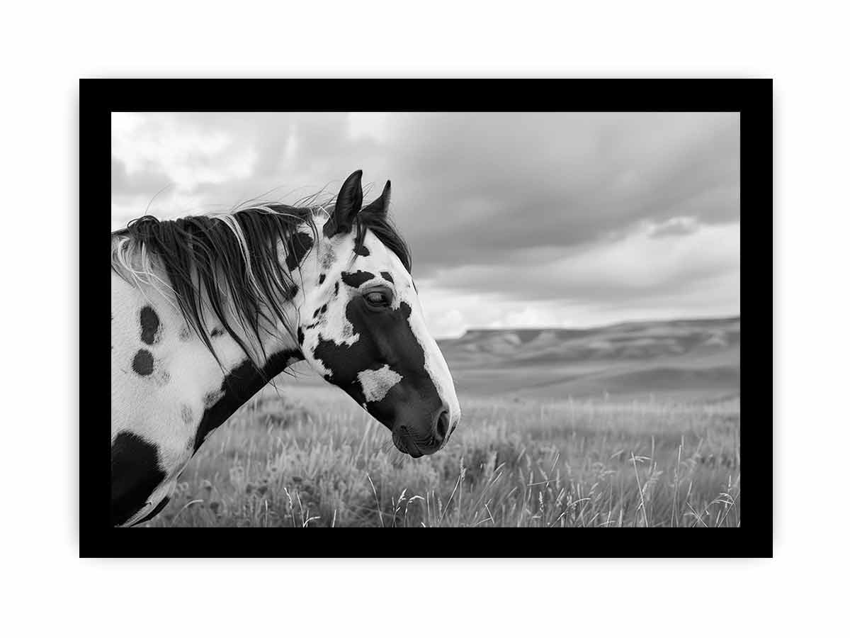 Horse Black & white Photography Canvas Art Print-7