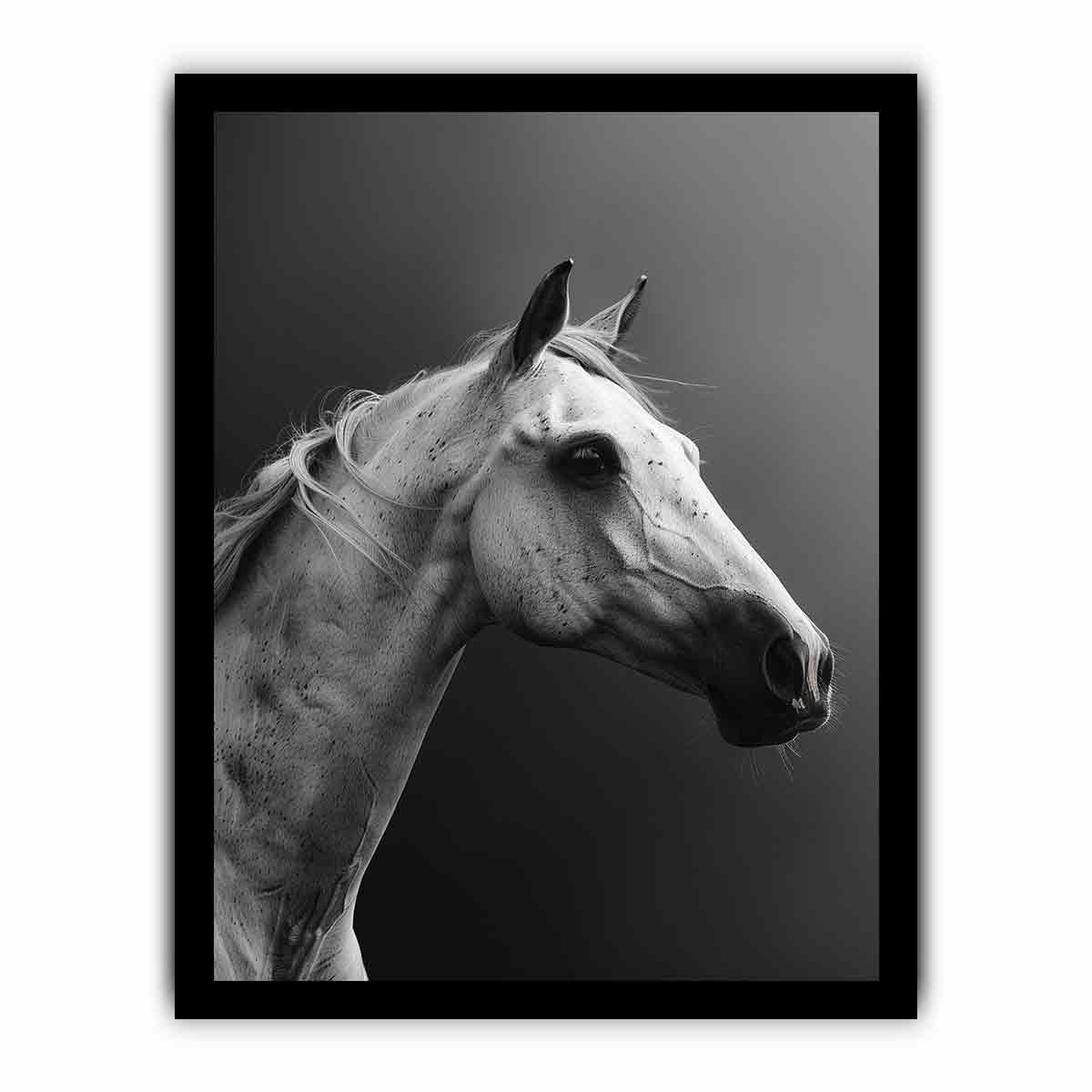Horse Canvas Art Print Poster-7
