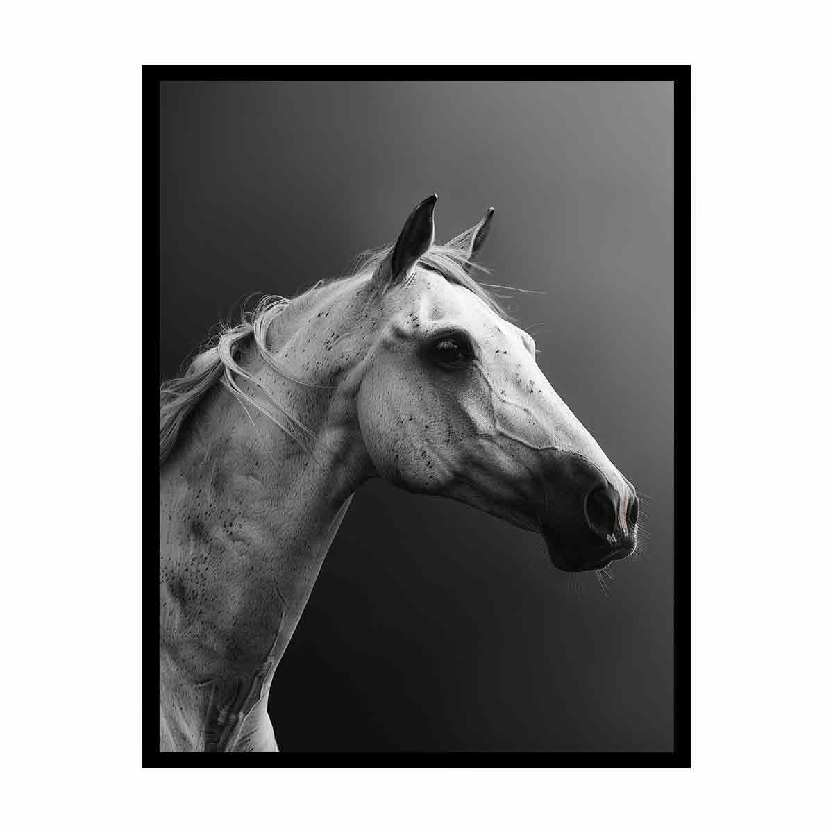 Horse Canvas Art Print Poster-4