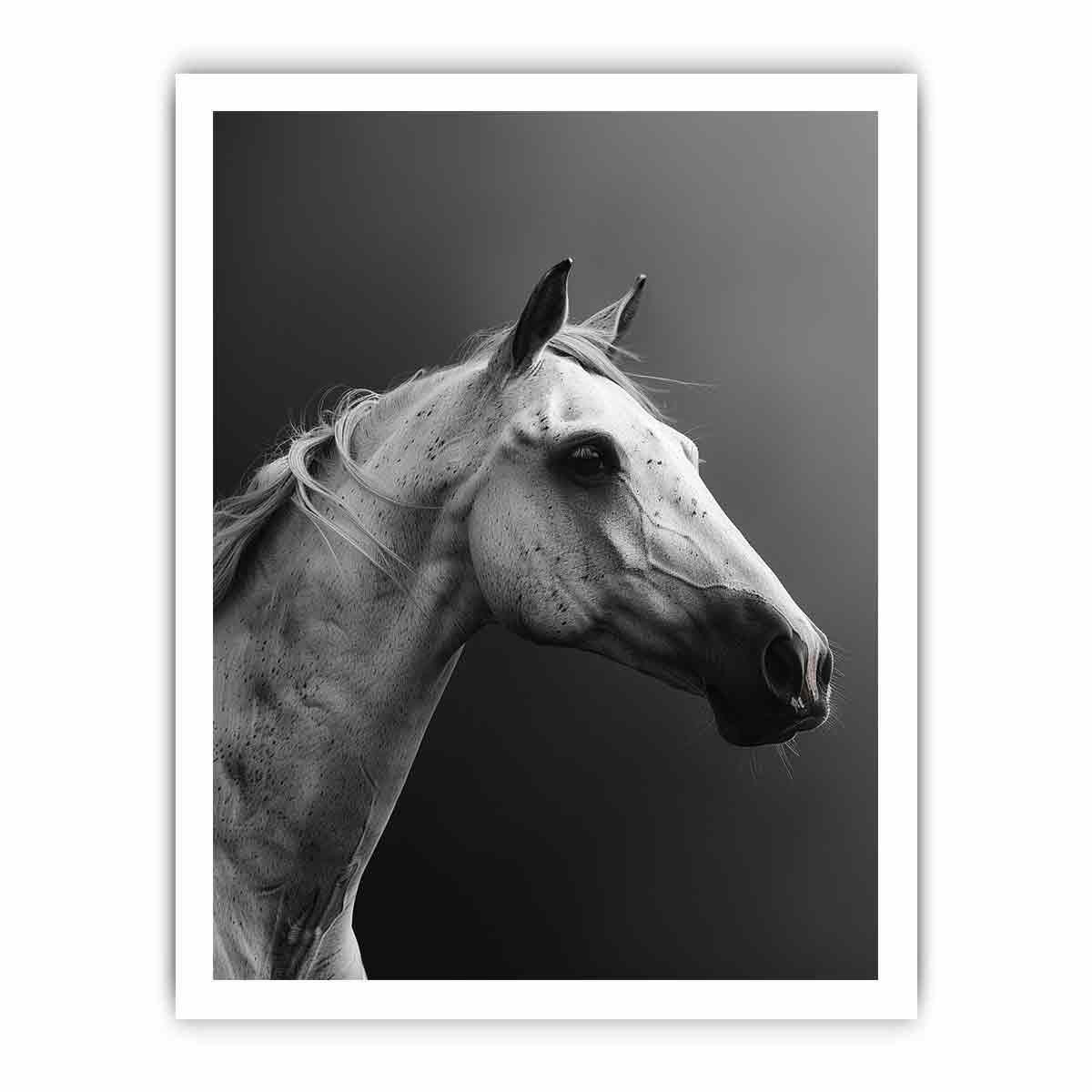 Horse Canvas Art Print Poster-8