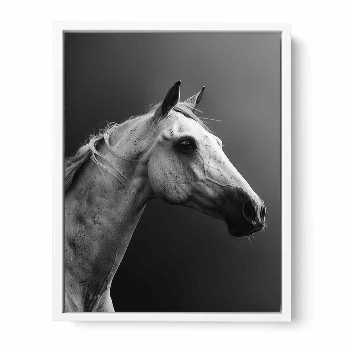 Horse Canvas Art Print Poster-5