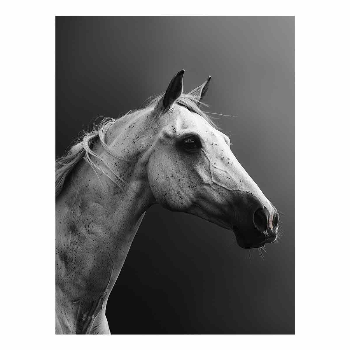Horse Canvas Art Print Poster-0