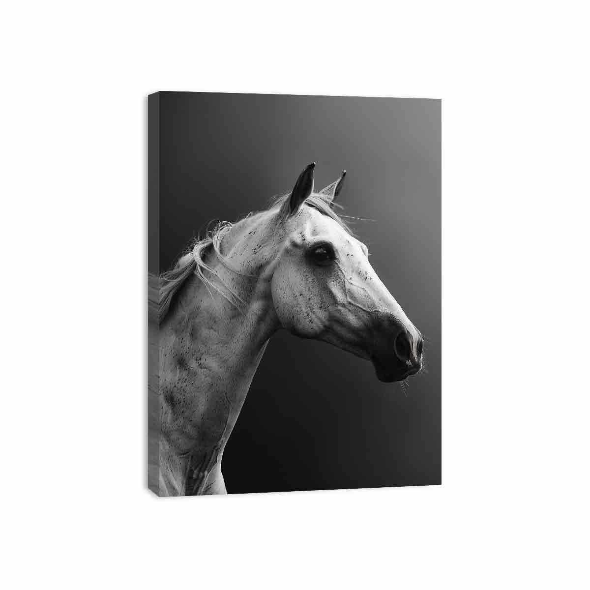 Horse Canvas Art Print Poster-3