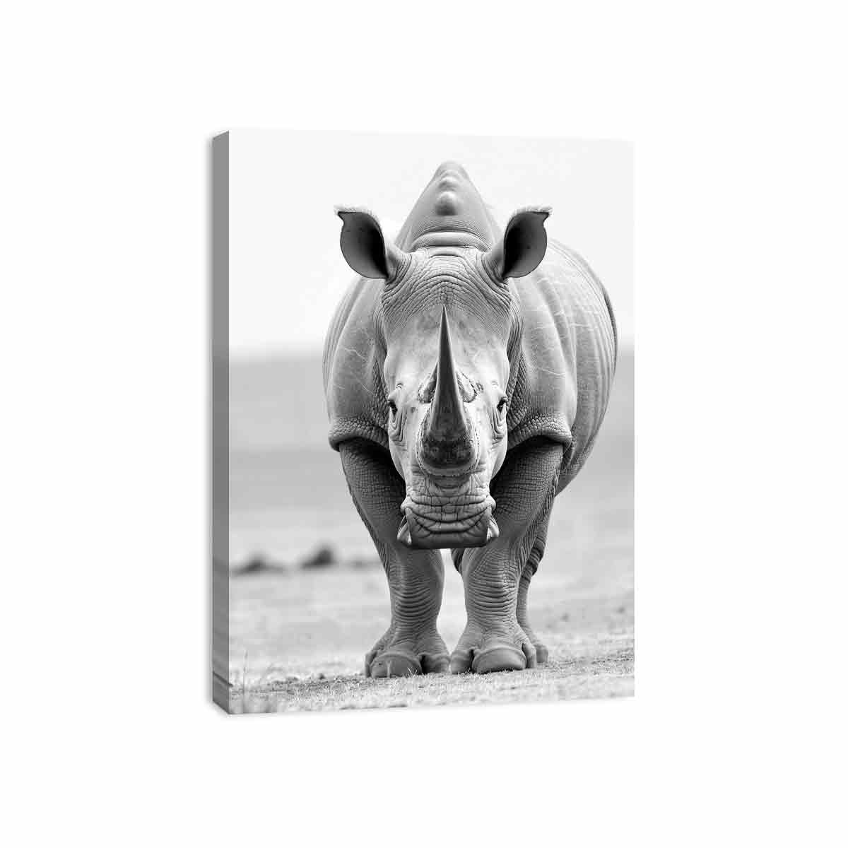 Rhino Canvas Art Print Framed Poster-3