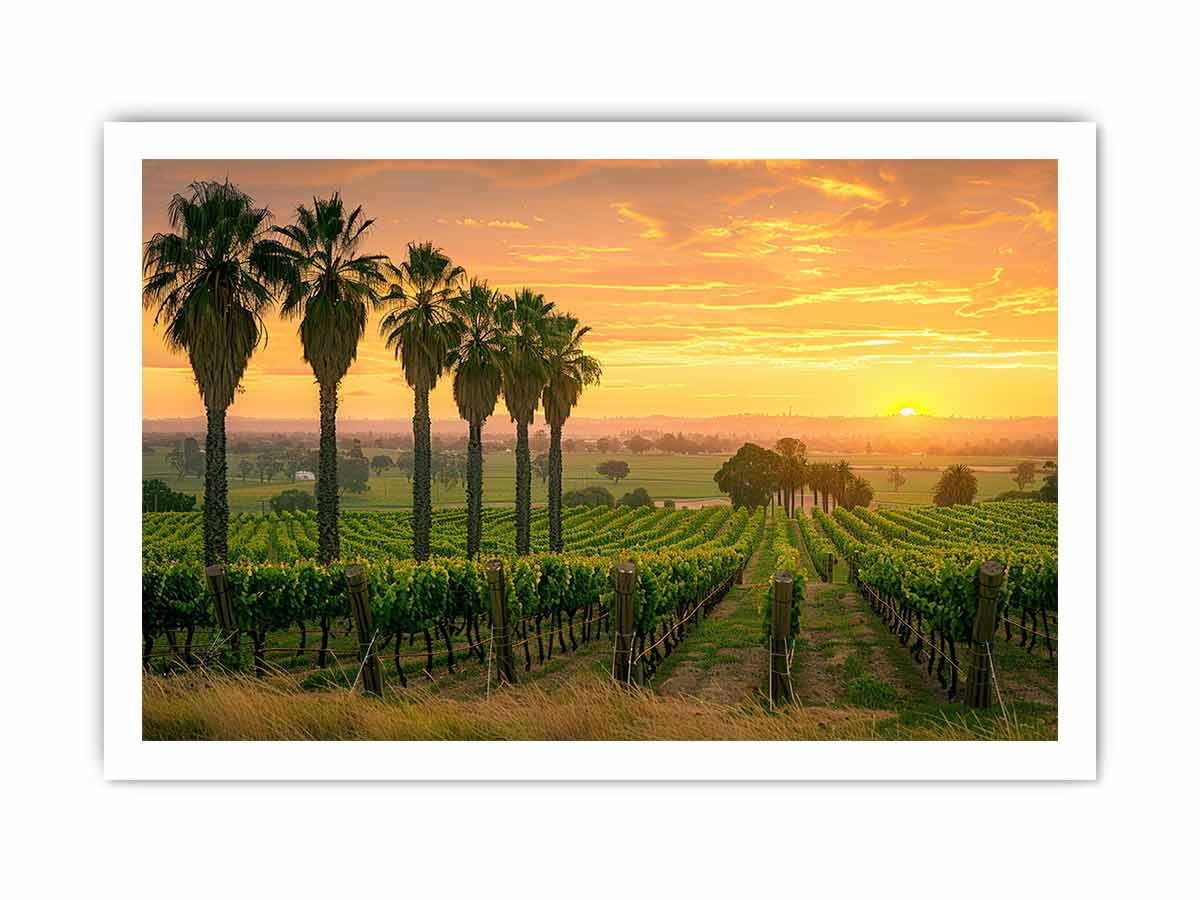 Wine Farm Canvas Art Print-8