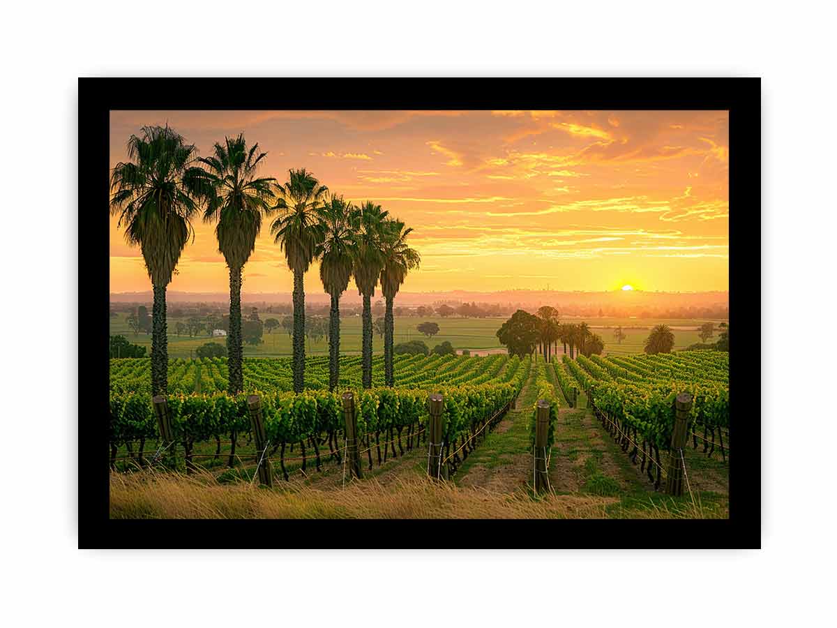 Wine Farm Canvas Art Print-7