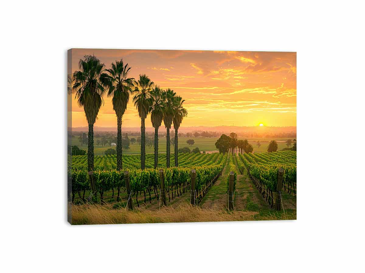Wine Farm Canvas Art Print-3