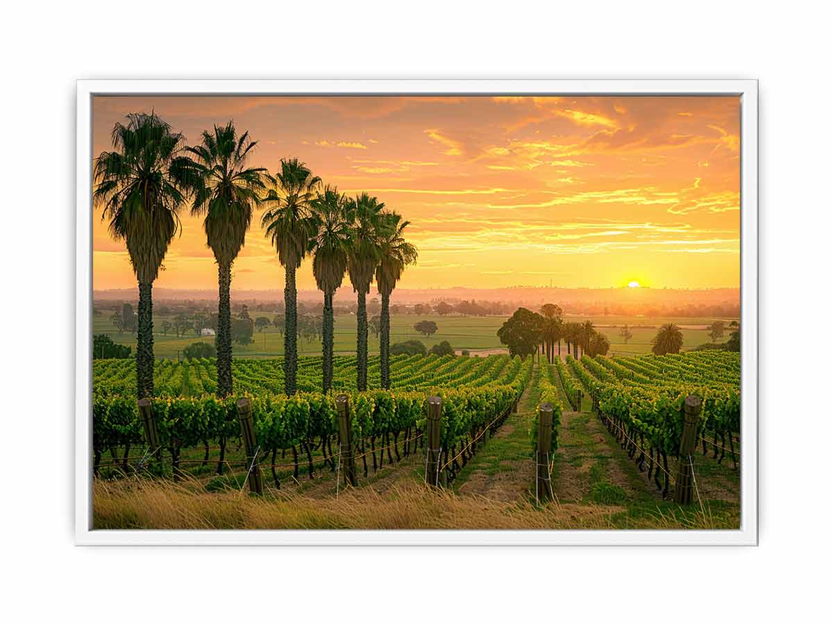 Wine Farm Canvas Art Print-5