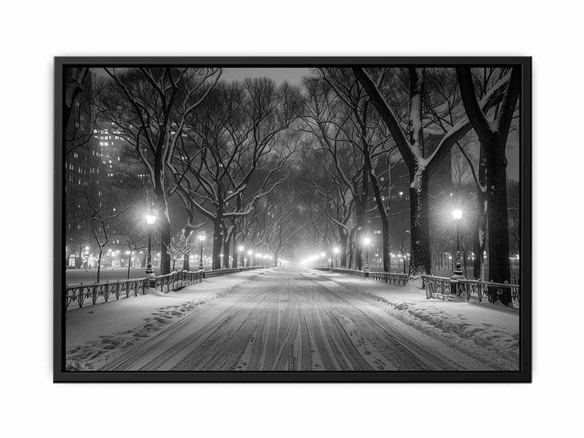 Central Park  Canvas Art Print-4