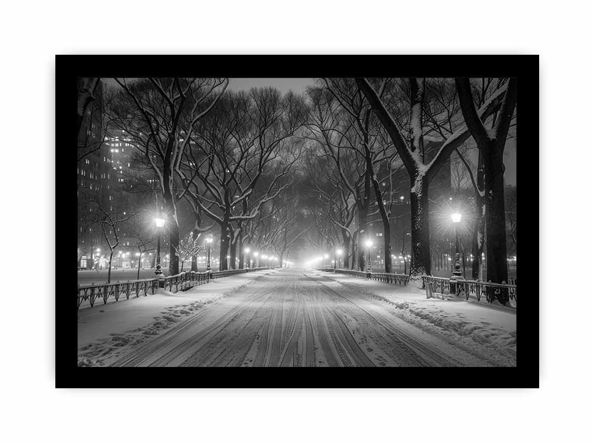 Central Park  Canvas Art Print-7