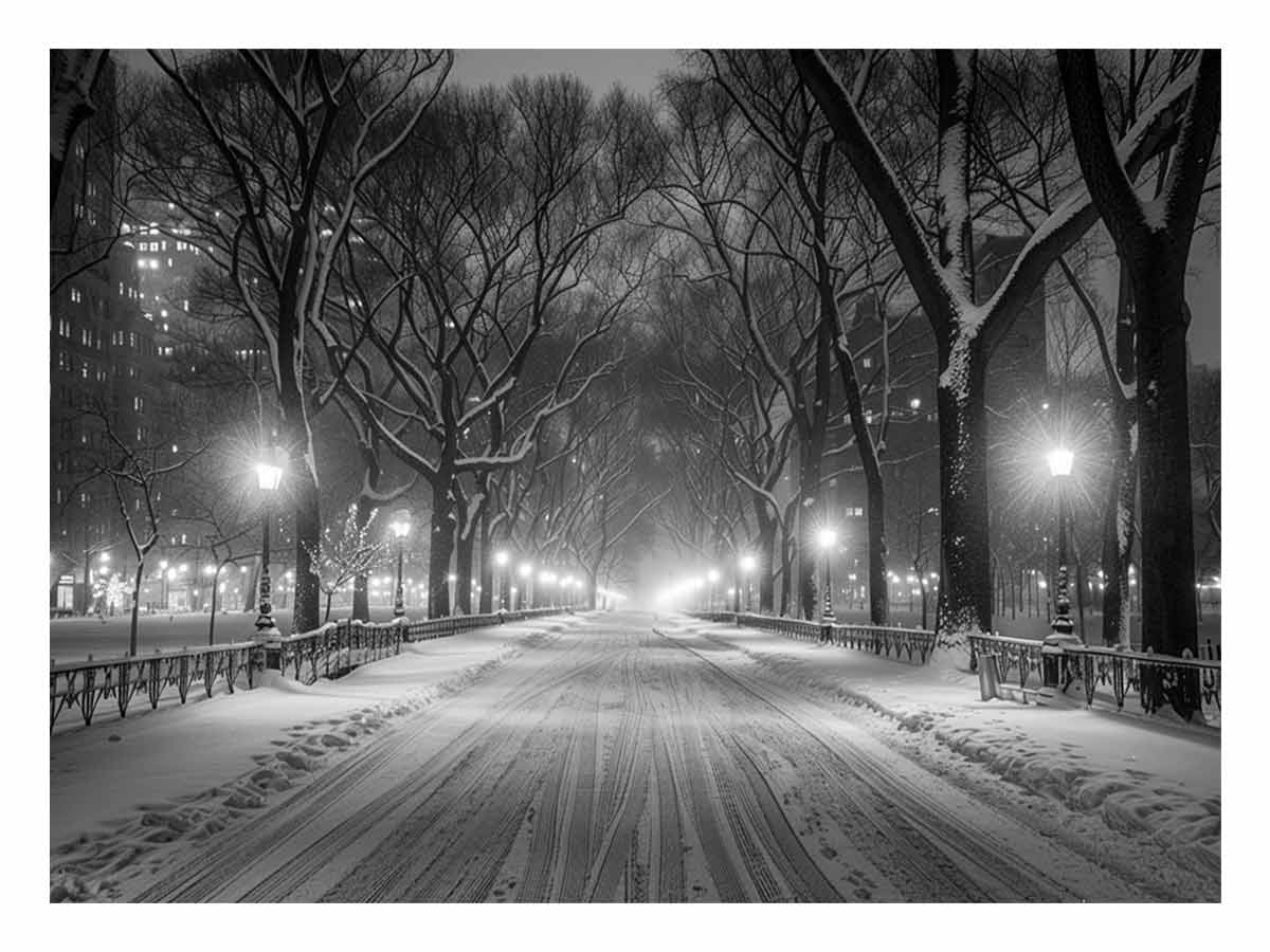 Central Park  Canvas Art Print-0