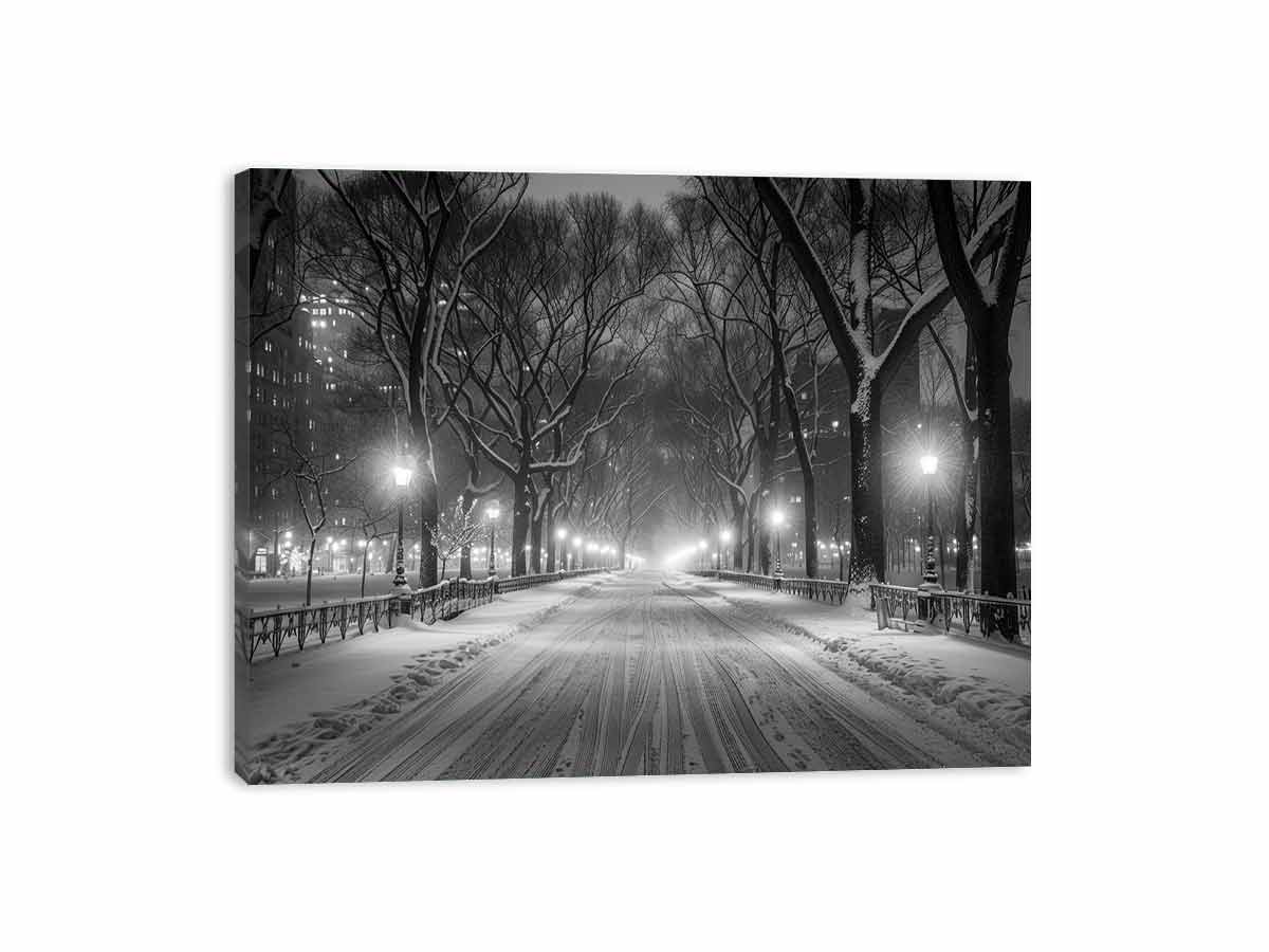Central Park  Canvas Art Print-3